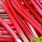 Rhubarb – home grown on our family farm